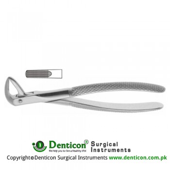 English Pattern Tooth Extracting Forcep Fig. 75 (For Lower Premolars) Stainless Steel, Standard